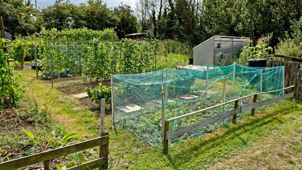 Allotment Netting