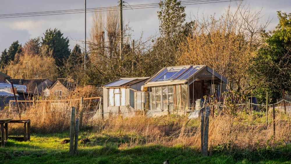 Allotment Storage