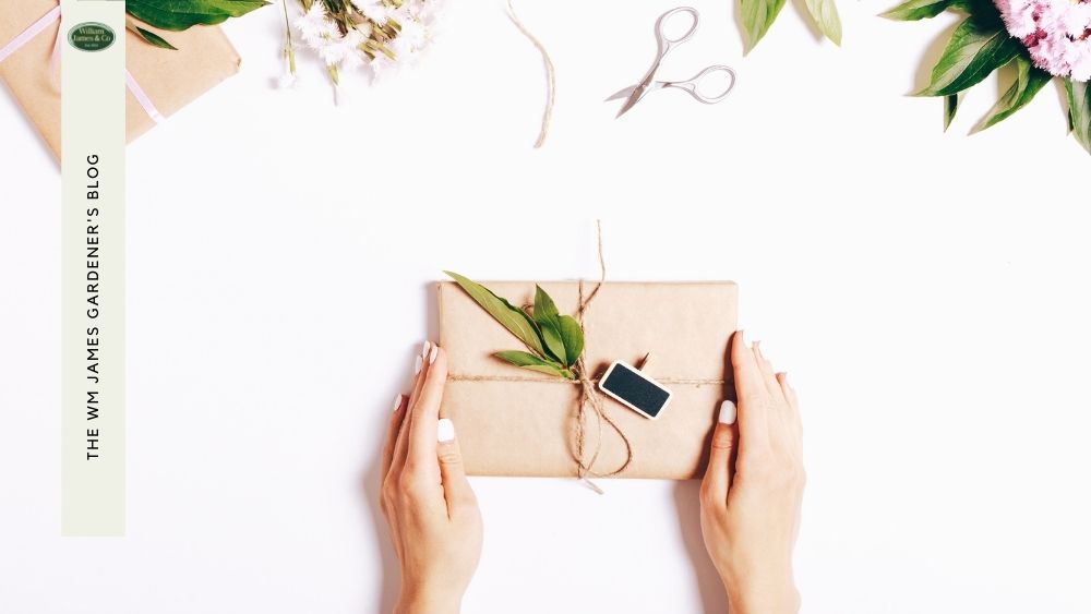 Top Gardening Picks for Brilliant Christmas Gifts