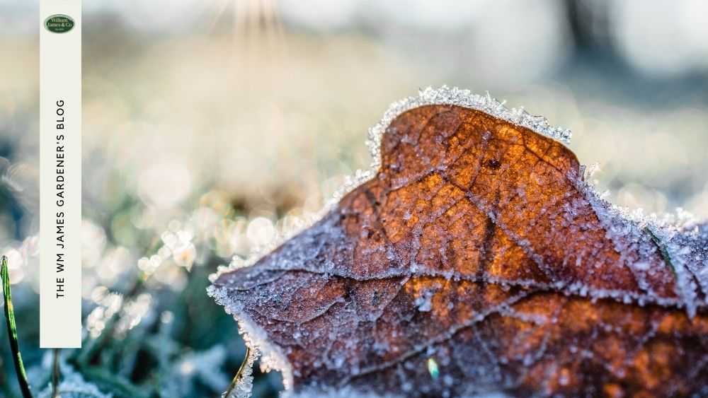 Winter is on its way