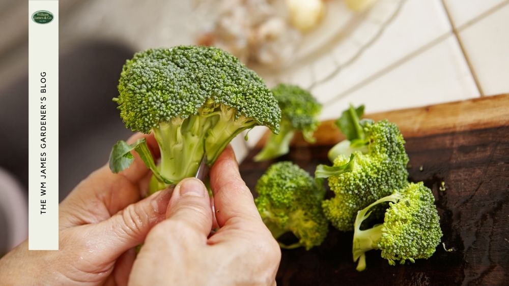 8 Winter Vegetables to Grow at Home & When to Plant Them