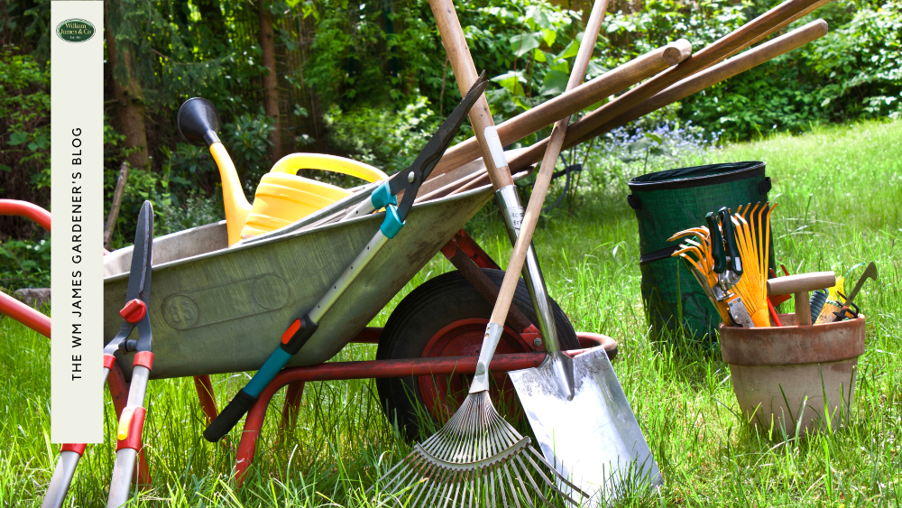 Top Father's Day Gardening Gifts for Your Green-Thumbed Dad