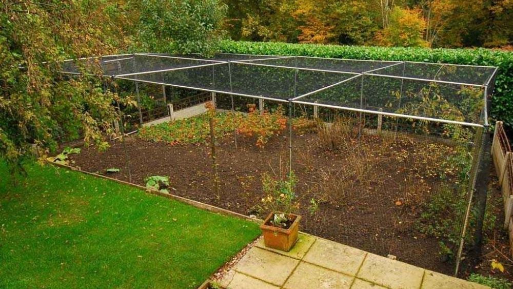 Fruit Cage Netting for Allotments