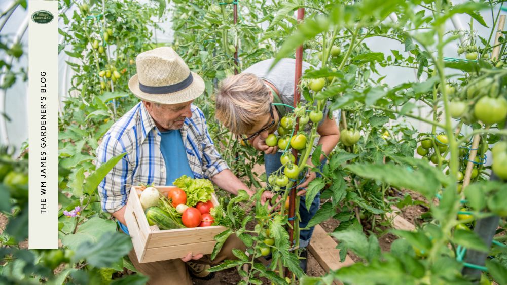 Protect Your Veggies Year Round: 5 Garden Netting Ideas