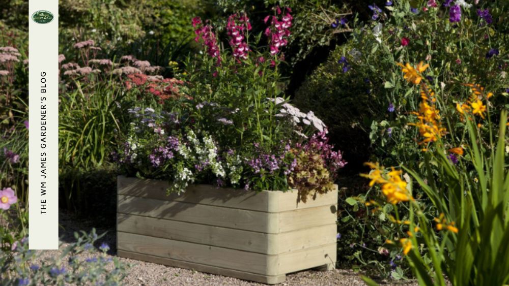 How to Prepare Soil for Planting in Your Garden or Allotment