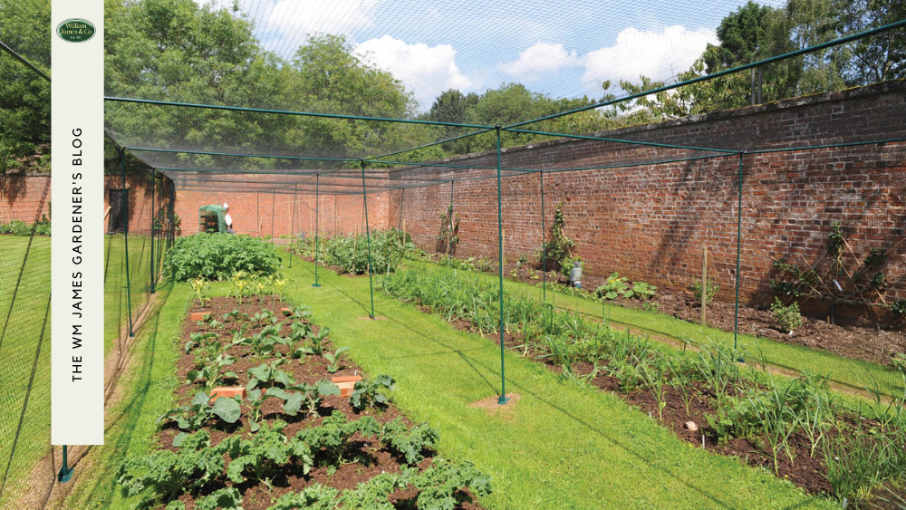 The Ultimate Guide to Buying Fruit Cages