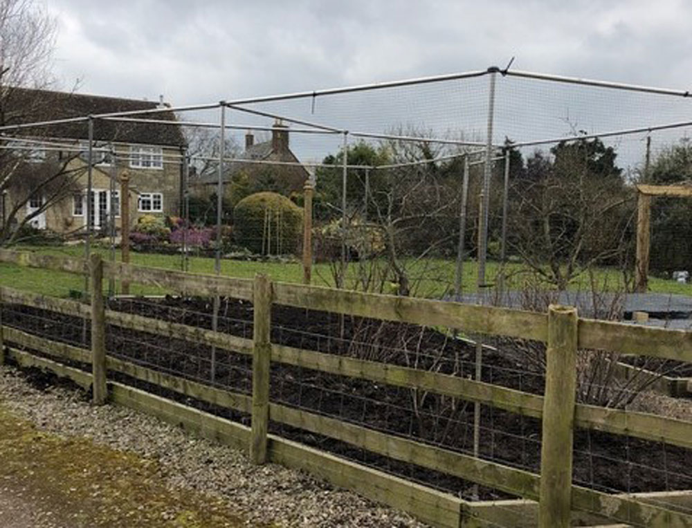 I cannot recommend this company highly enough