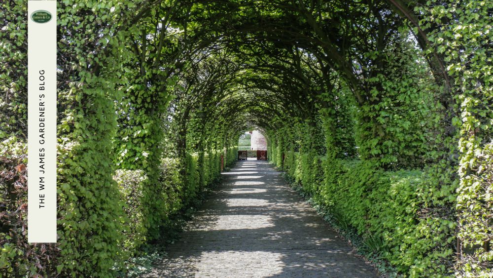 Unlock Your Garden's Potential: 10 Easy & Creative Garden Structure Ideas To Try