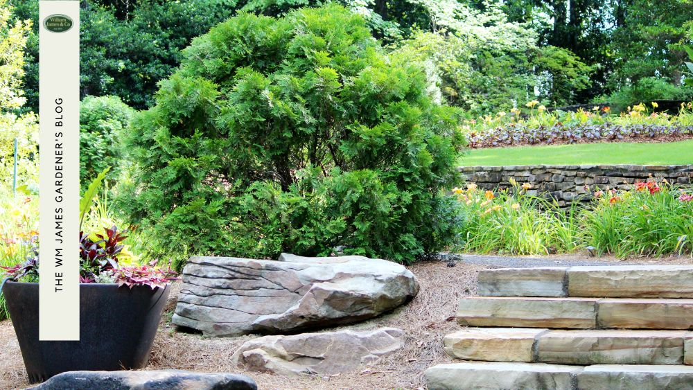 5 Incredible 2-Tiered Garden Ideas to Transform Your Outdoor Space