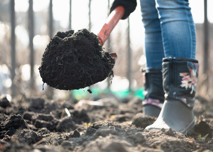 Potting Soil VS Topsoil