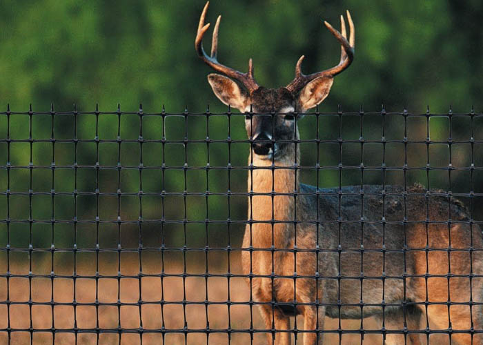 Deer netting