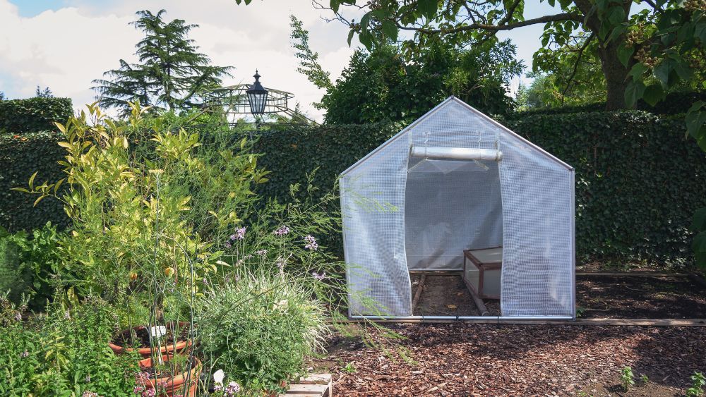 small greenhouse