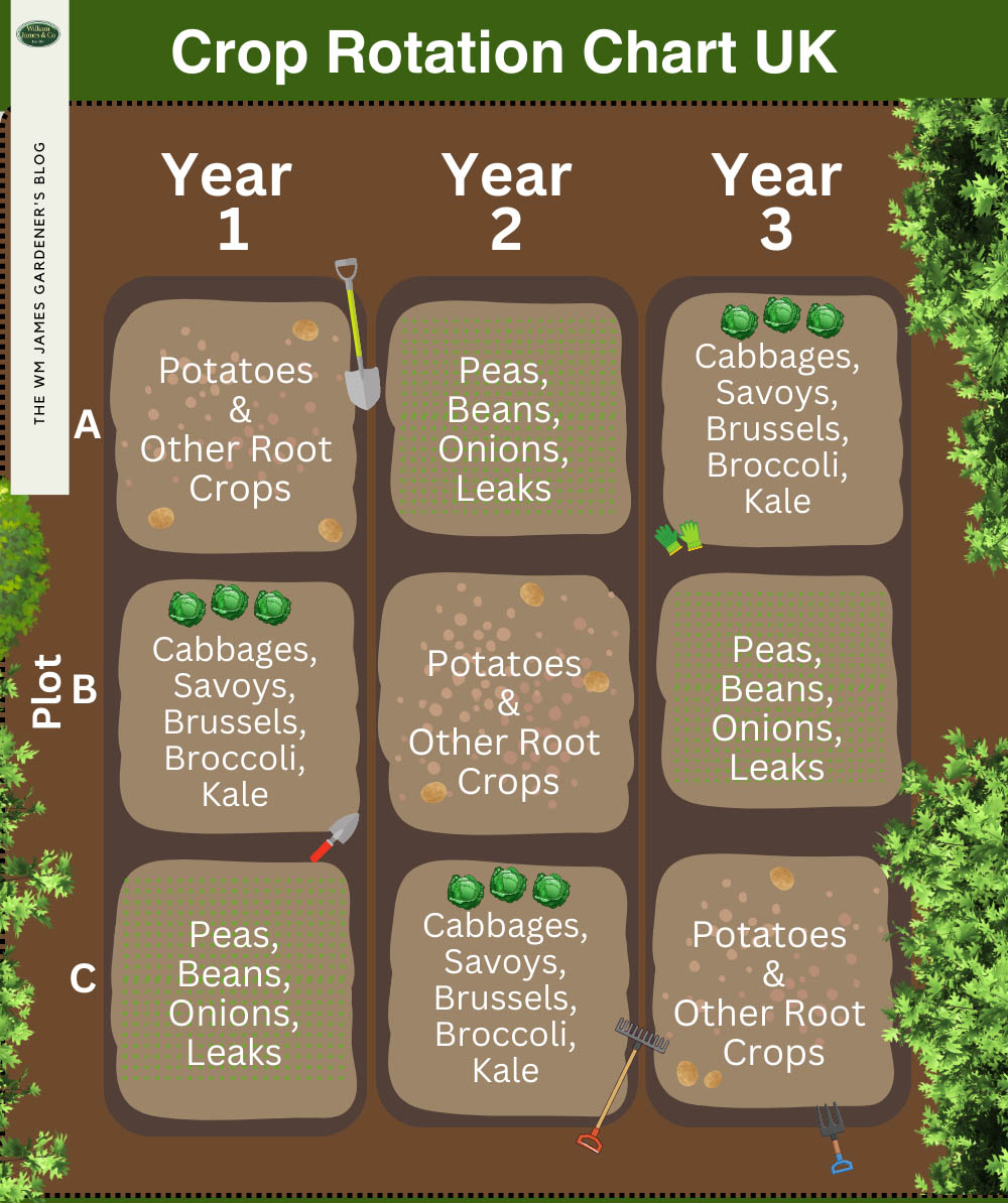 crop rotation UK chart