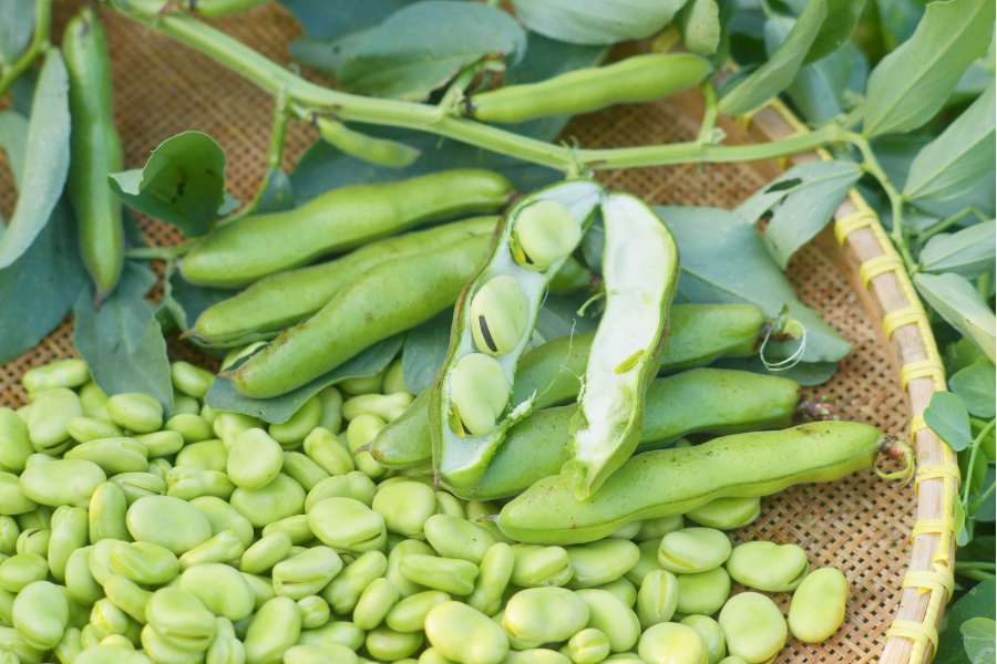 broad beans