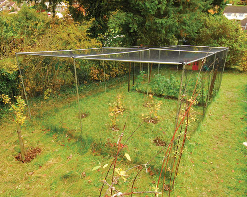 garden fruit cage