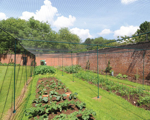 kitchen garden fruit cage