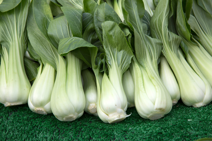 pak choi