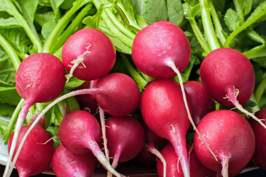 radishes