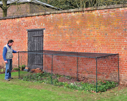 kitchen garden fruit cage
