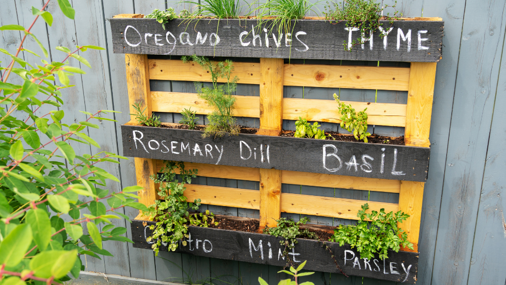 pallet planter
